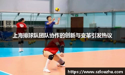 上海排球队团队协作的创新与变革引发热议