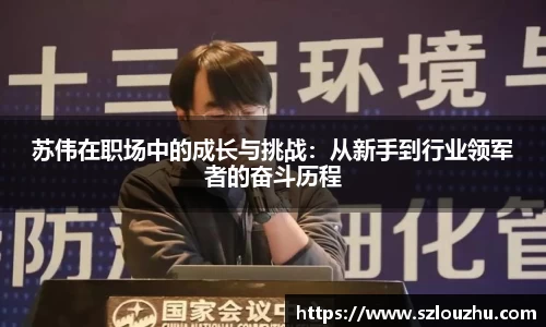 苏伟在职场中的成长与挑战：从新手到行业领军者的奋斗历程