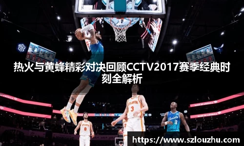 热火与黄蜂精彩对决回顾CCTV2017赛季经典时刻全解析